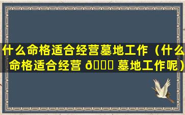 什么命格适合经营墓地工作（什么命格适合经营 🐞 墓地工作呢）